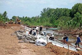 Thanh Hóa Nỗ lực chống hạn hán và xâm nhập mặn